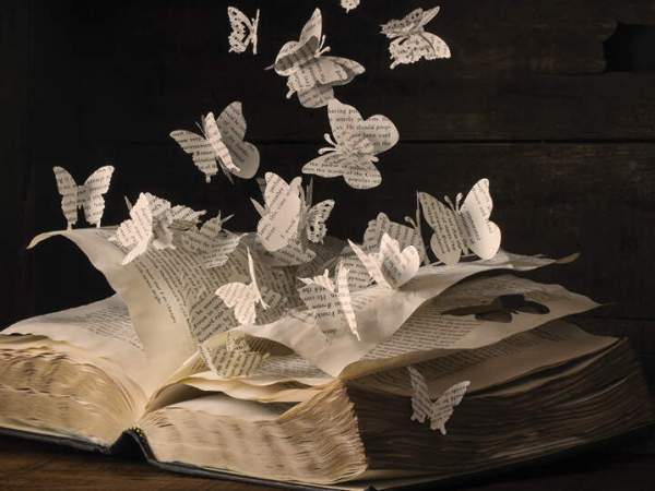 Books for Readers Young and Old – An&nbsp;Introduction